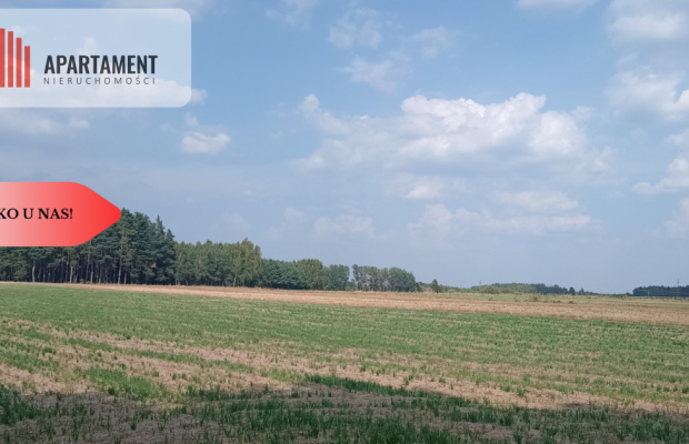 Działka Cekcyn obok lasu, jezior ,budowlana !