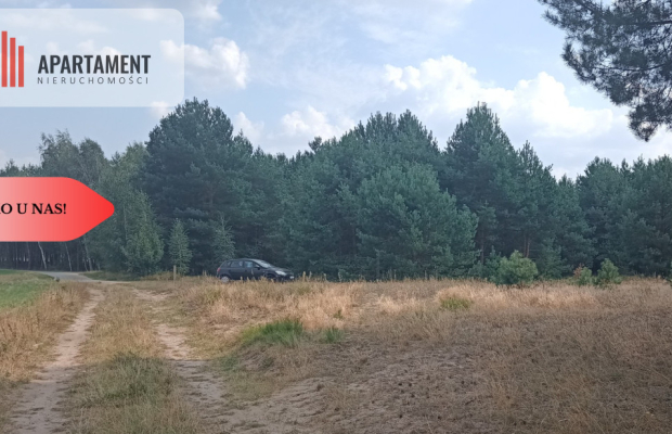 Działka Cekcyn obok lasu, jezior ,budowlana !