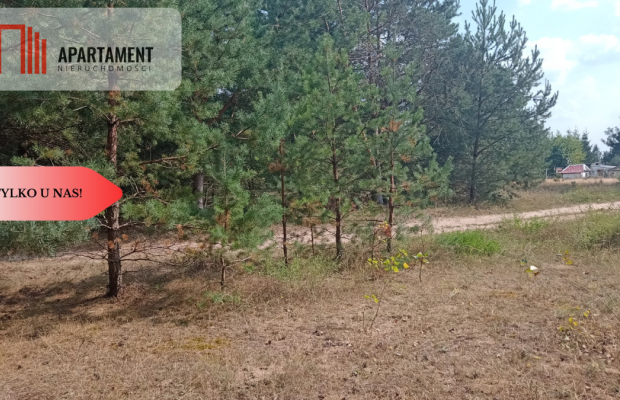 Działka Cekcyn obok lasu, jezior ,budowlana !