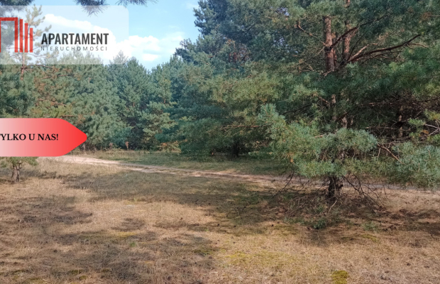 Działka Cekcyn obok lasu, jezior ,budowlana !