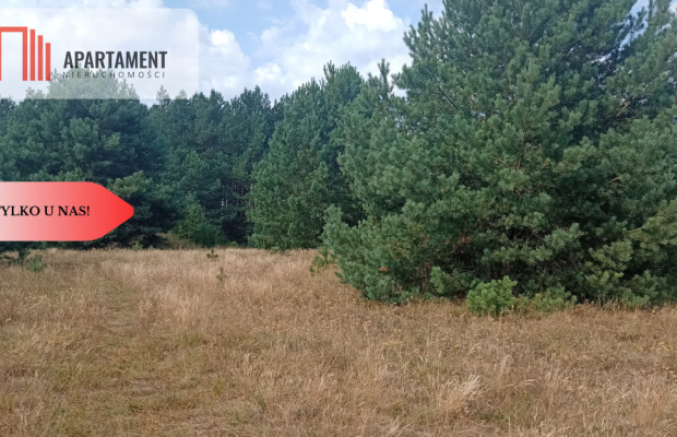 Działka Cekcyn obok lasu, jezior ,budowlana !