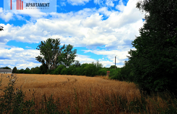 Działka pod magazyn!