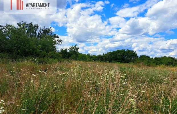 Działka pod magazyn!