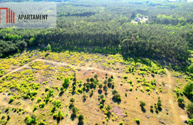 działka z warunkami zabudowy - Godzimierz