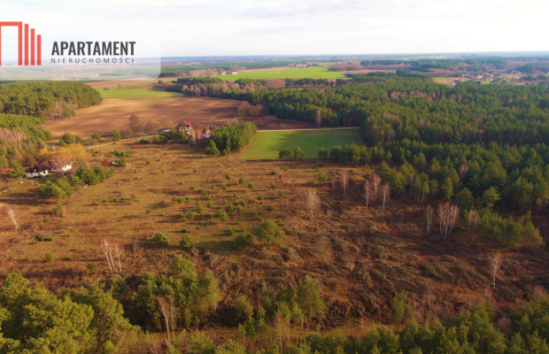 działka z warunkami zabudowy - Godzimierz