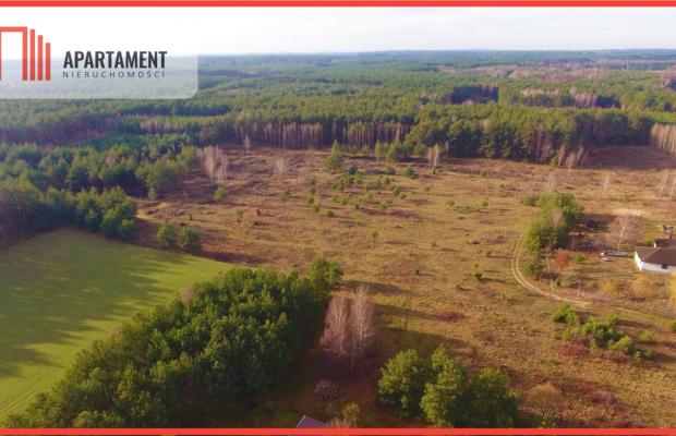 działka z warunkami zabudowy - Godzimierz