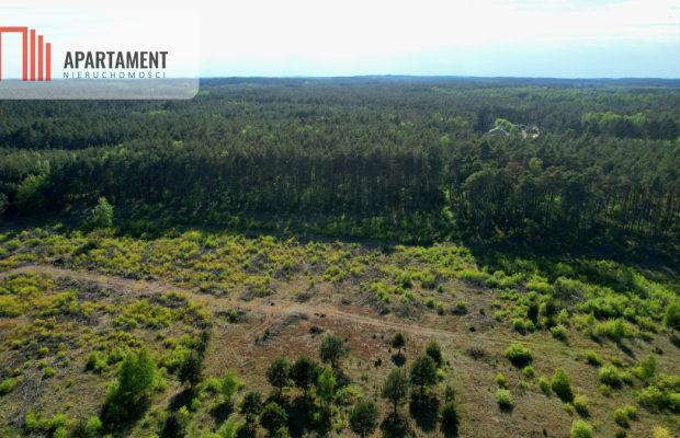 działka z warunkami zabudowy - Godzimierz