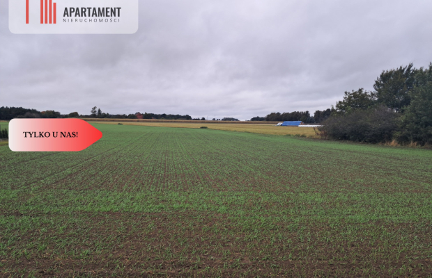 *Duża działka w Jadownikach Rycerskich