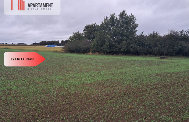 *Duża działka w Jadownikach Rycerskich