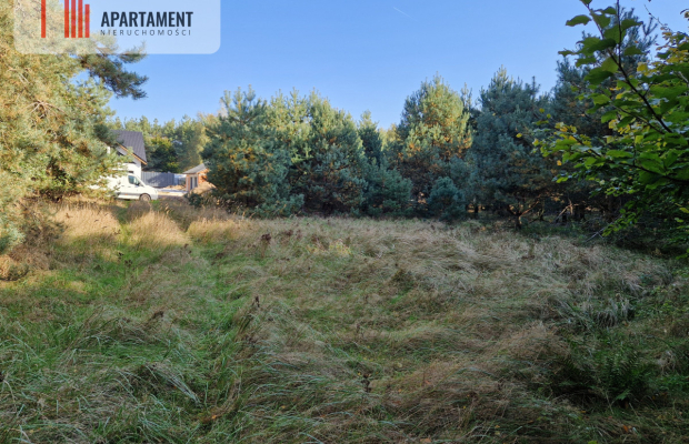 Działka budowlana z własnym lasem