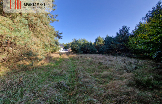 Działka budowlana z własnym lasem