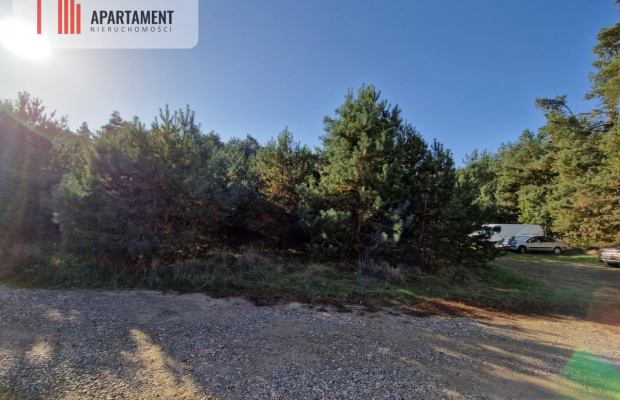 Działka budowlana z własnym lasem