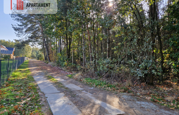 Działka budowlana z własnym lasem