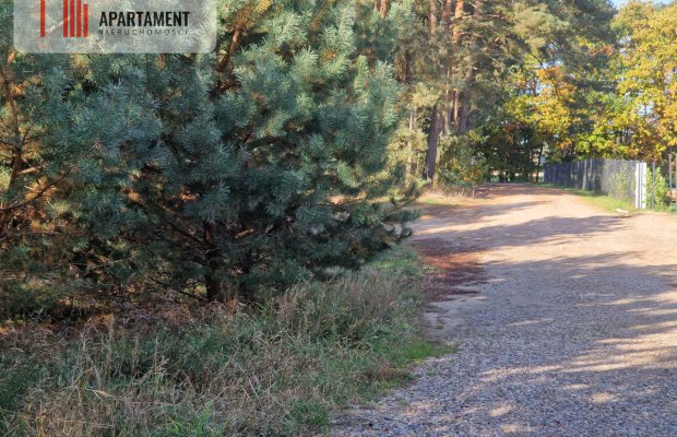 Działka budowlana z własnym lasem