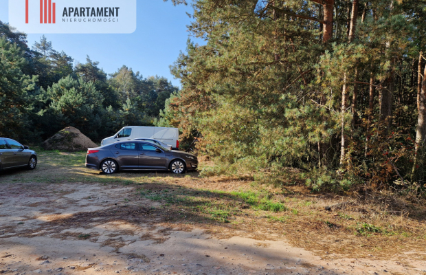 Działka budowlana z własnym lasem