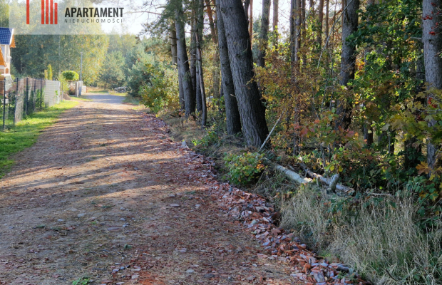 Działka budowlana z własnym lasem