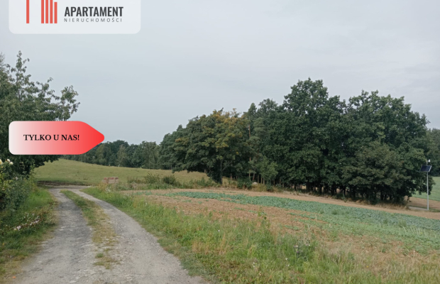 Tczew-Śliwiny z Warunkami Zabudowy