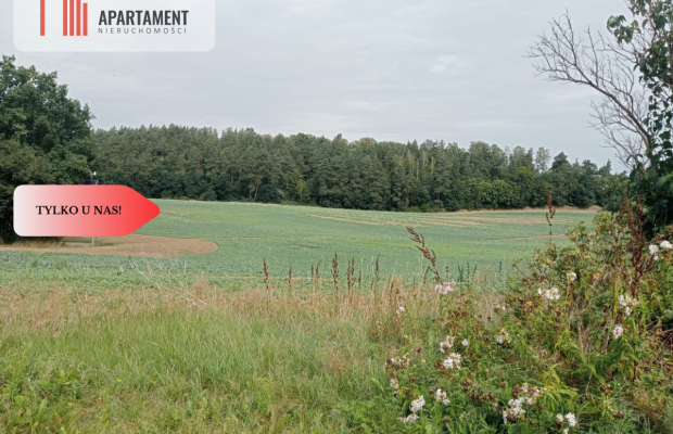 Tczew-Śliwiny z Warunkami Zabudowy