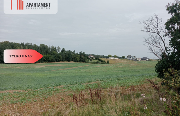 Tczew-Śliwiny z Warunkami Zabudowy