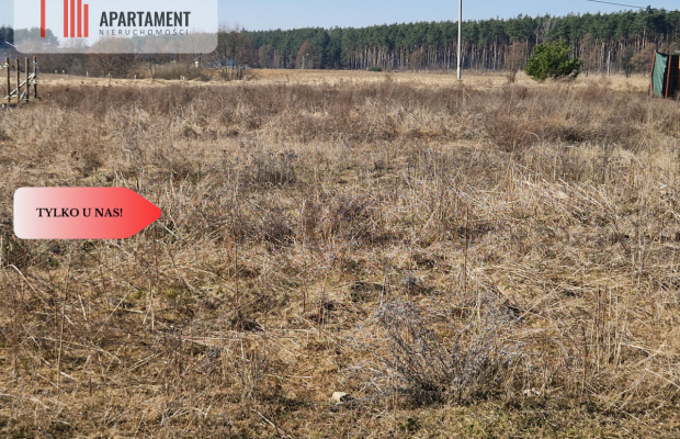 Działka budowlana niedaleko lasu i jeziora