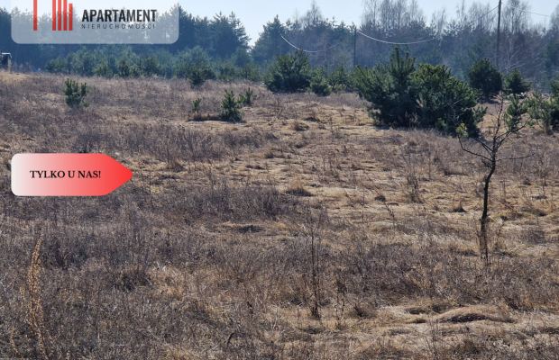 Działka budowlana niedaleko lasu i jeziora