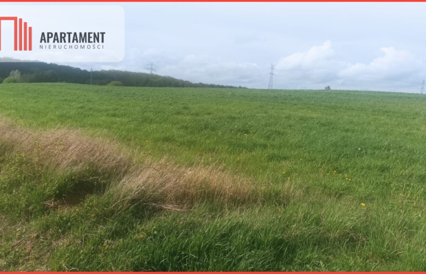 Piękna działka w okolicy jezior i lasów