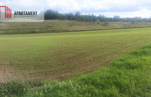 Piękna działka w okolicy jezior i lasów