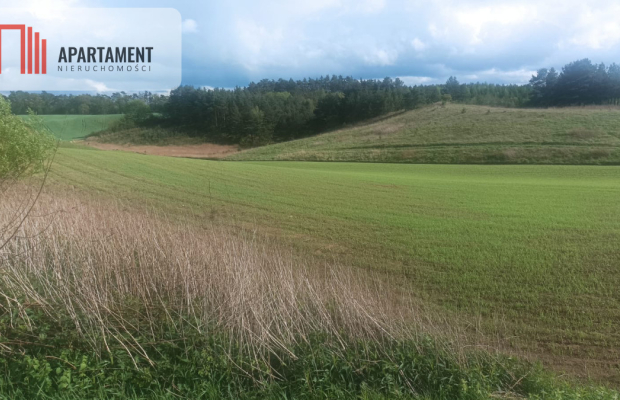 Piękna działka w okolicy jezior i lasów