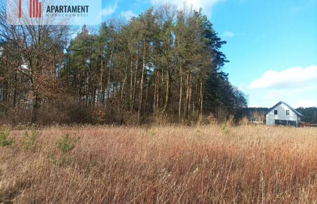 Piękna działka w okolicy jezior i lasów
