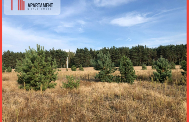 Tylko u nas ! Tania działka w spokojnej okolicy !