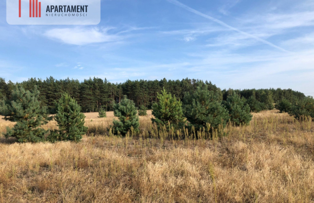 Tylko u nas ! Tania działka w spokojnej okolicy !