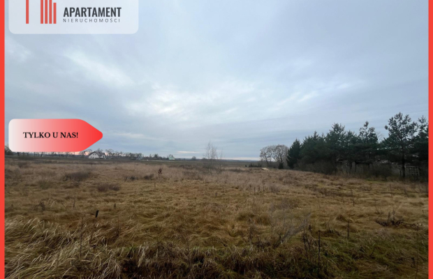 * Działka otoczona lasami i polami z WZ