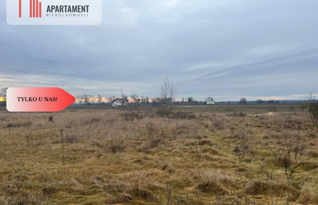 * Działka otoczona lasami i polami z WZ