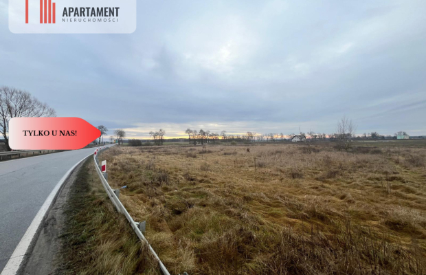 * Działka otoczona lasami i polami z WZ