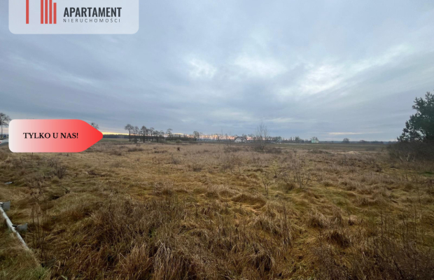 * Działka otoczona lasami i polami z WZ