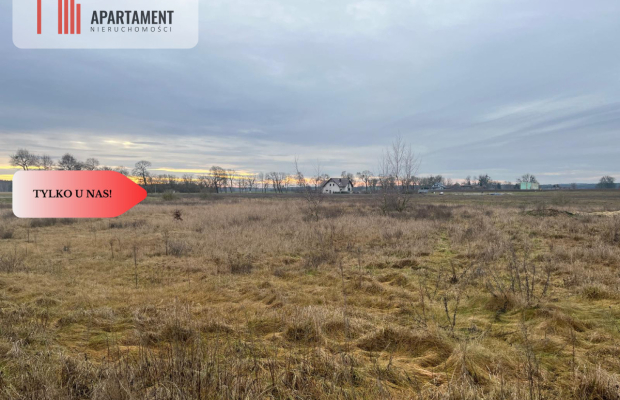 * Działka otoczona lasami i polami z WZ