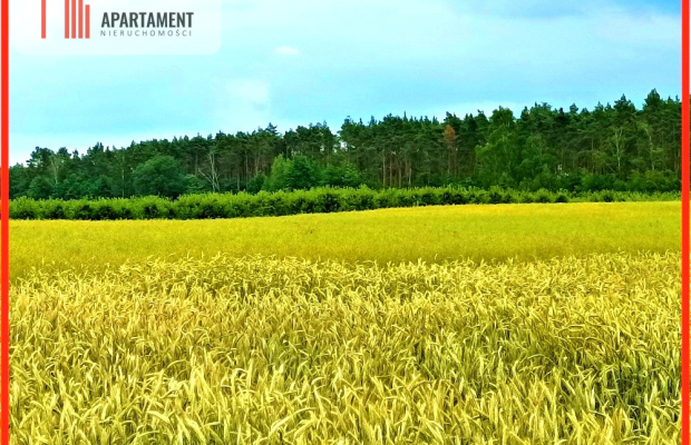 SZCZUTKI-MORZEWIEC 862m2  LAS CISZA SPOKÓJ