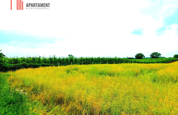 SZCZUTKI-MORZEWIEC 862m2  LAS CISZA SPOKÓJ