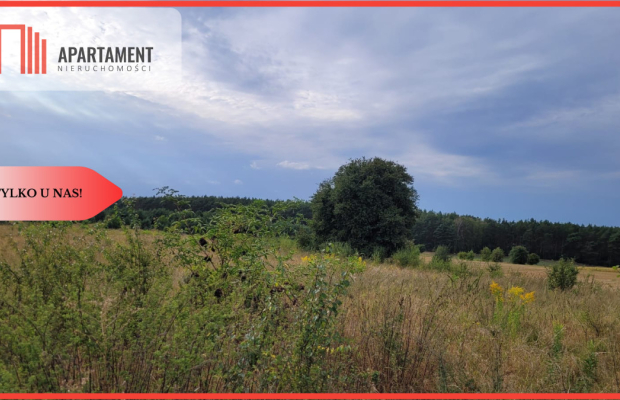 Tylko u nas! Świetna lokalizacja, cisza!