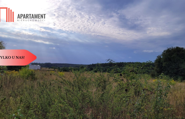 Tylko u nas! Świetna lokalizacja, cisza!