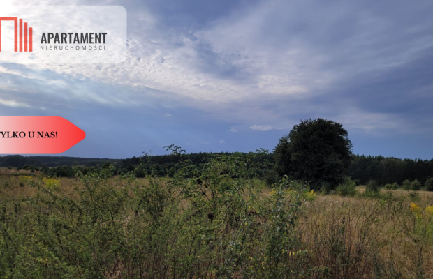 Tylko u nas! Świetna lokalizacja, cisza!