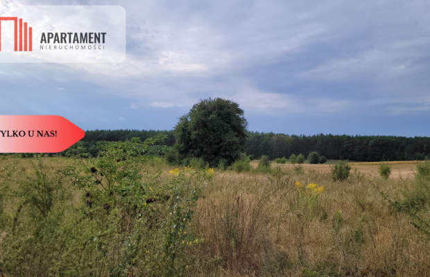 Tylko u nas! Świetna lokalizacja, cisza!