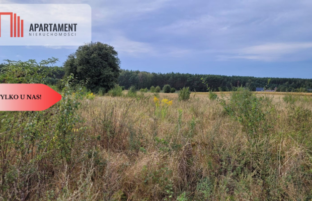 Tylko u nas! Świetna lokalizacja, cisza!