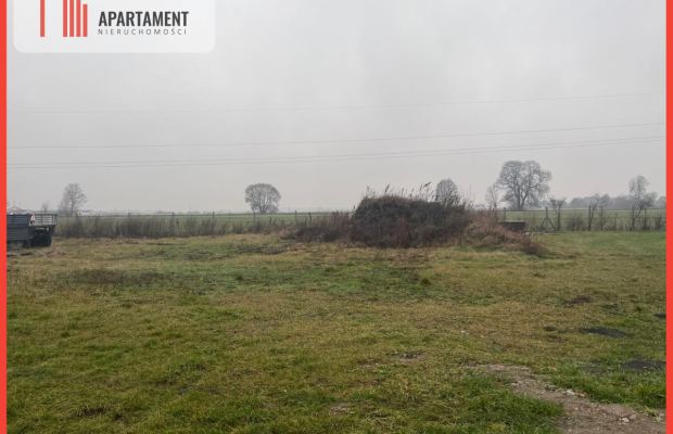 Działka z widokiem na las