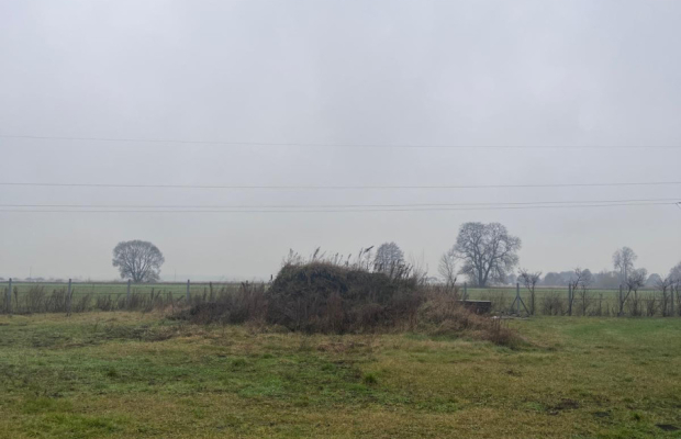 Działka z widokiem na las