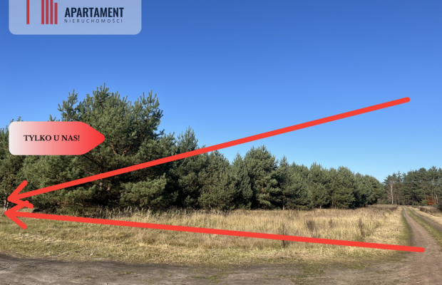 Działka pod lasem w spokojnej okolicy