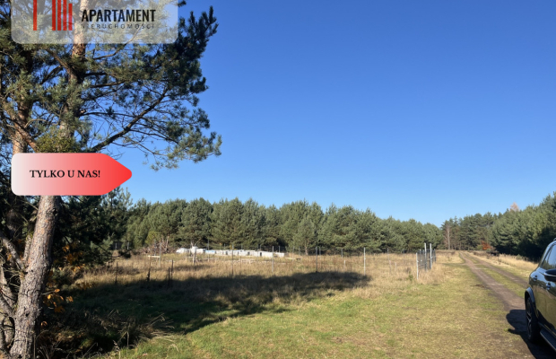 Działka pod lasem w spokojnej okolicy