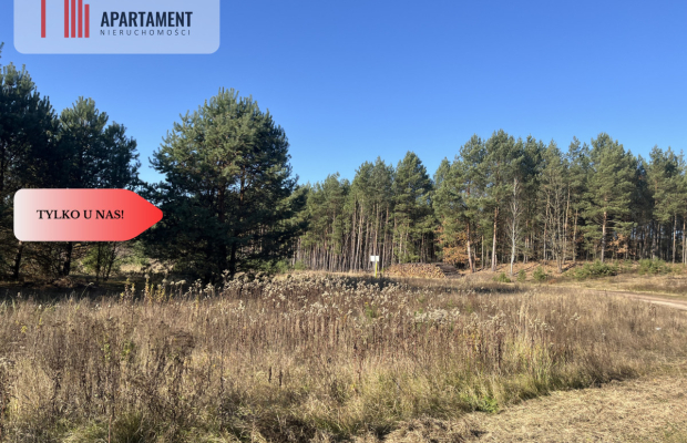 Działka pod lasem w spokojnej okolicy
