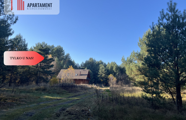 Działka pod lasem w spokojnej okolicy