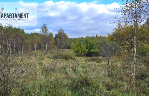 Malownicze działki budowlane – Mierzeszyn